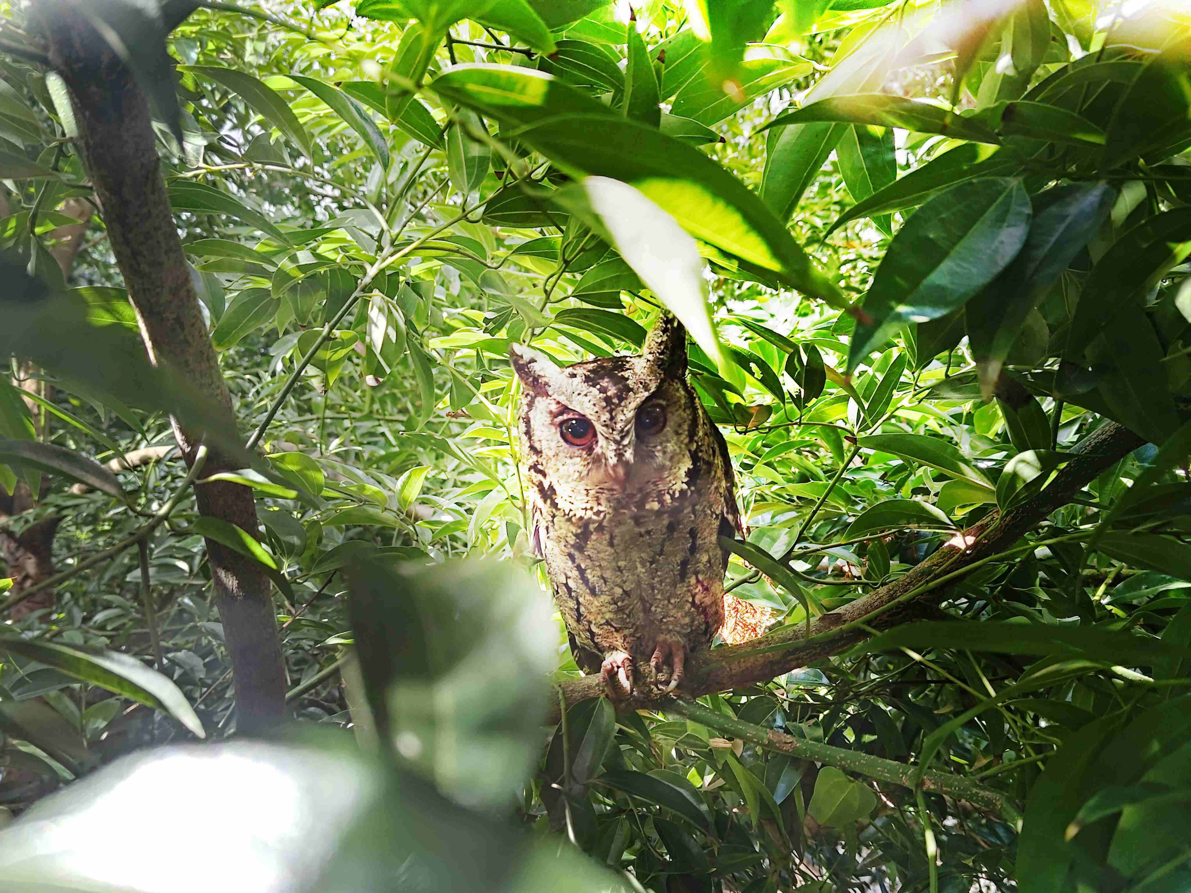 z6mg·人生就是博致力提倡净零绿生活，，，16年以来在全球各厂区植树逾百万棵，，，造就各厂区树木蔚然成林，，，，犹如森林工厂，，成为许多生物的栖息地